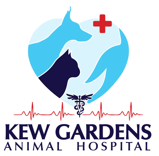 Kew Gardens Animal Hospital